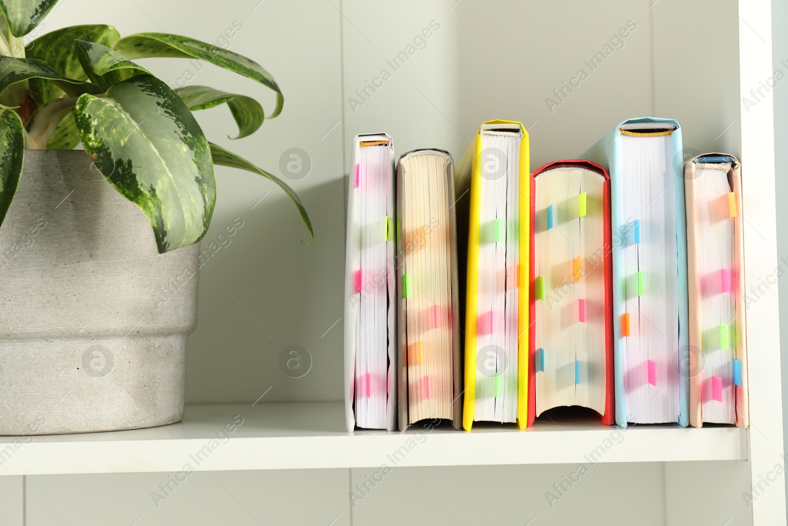 Photo of Books with colorful tabs and houseplant on white shelf indoors