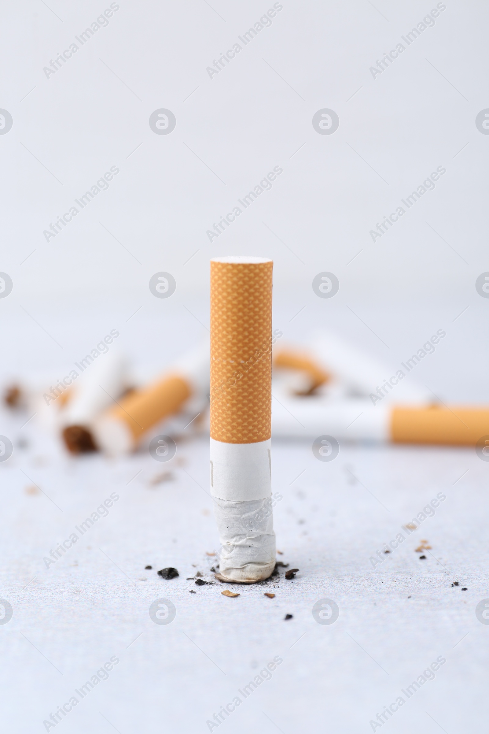 Photo of Cigarette butts on light background, selective focus