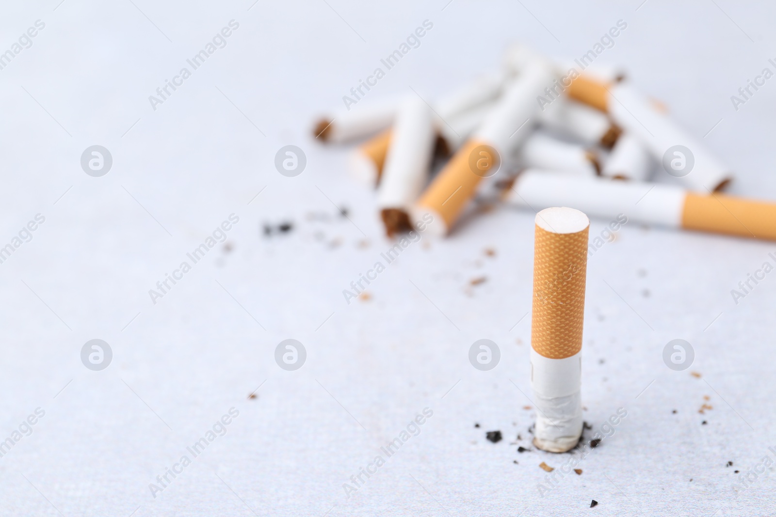 Photo of Cigarette butts on light background, selective focus. Space for text