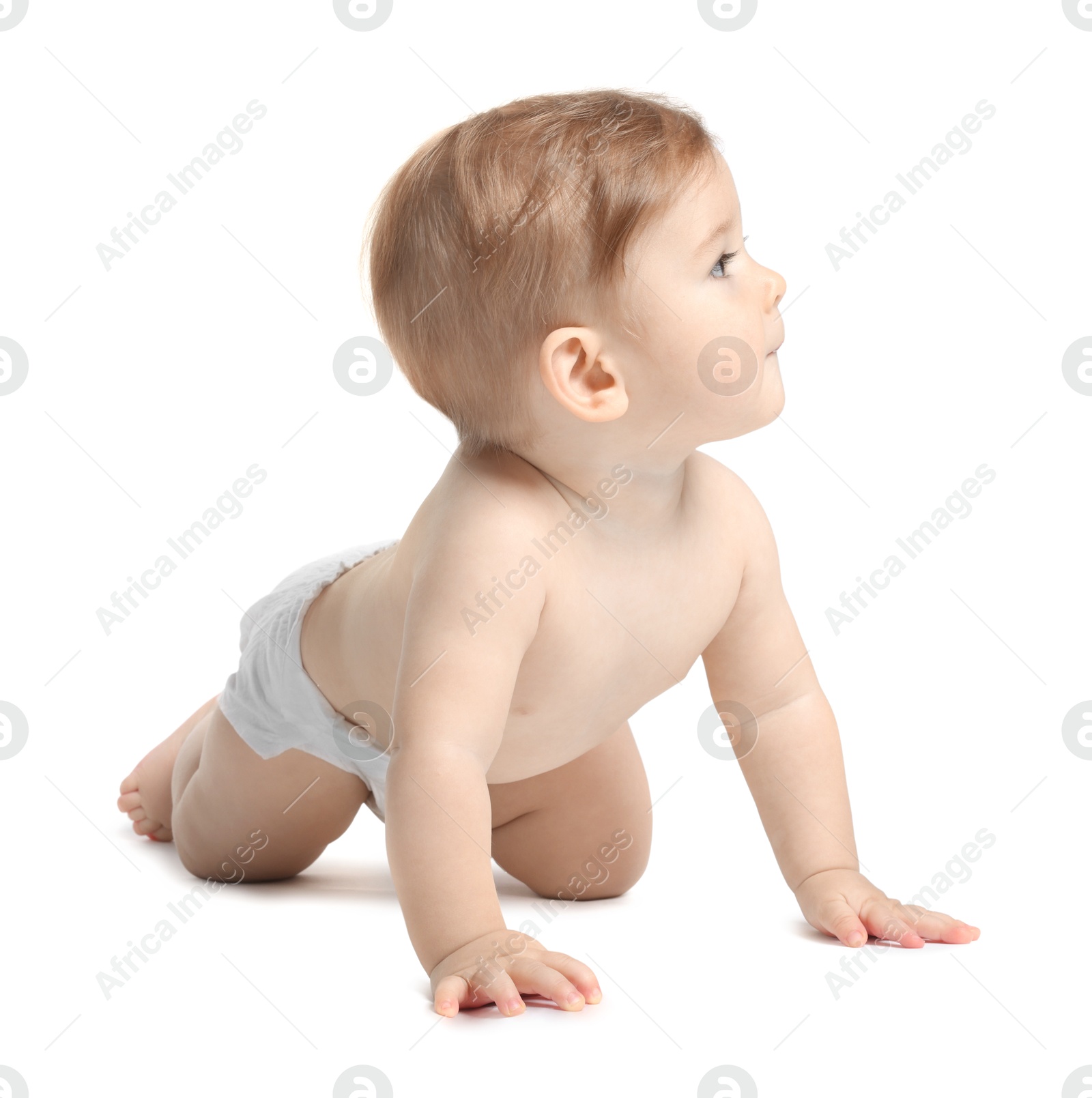 Photo of Cute little baby crawling on white background