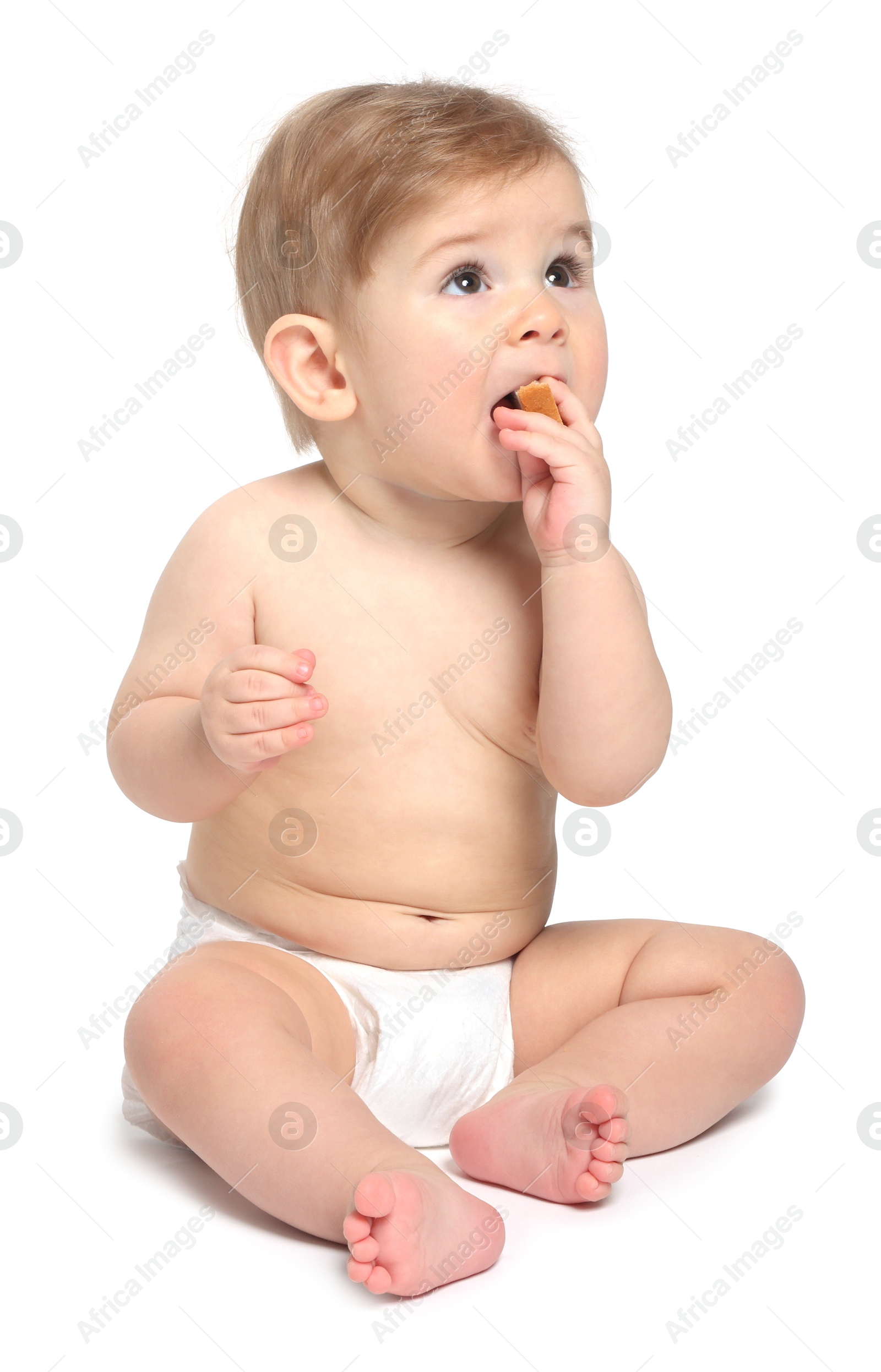 Photo of Cute little baby sitting on white background