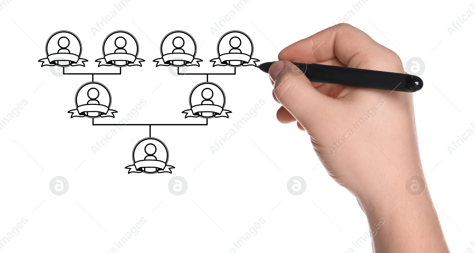 Image of Man drawing family tree on white background. Scheme with human figures