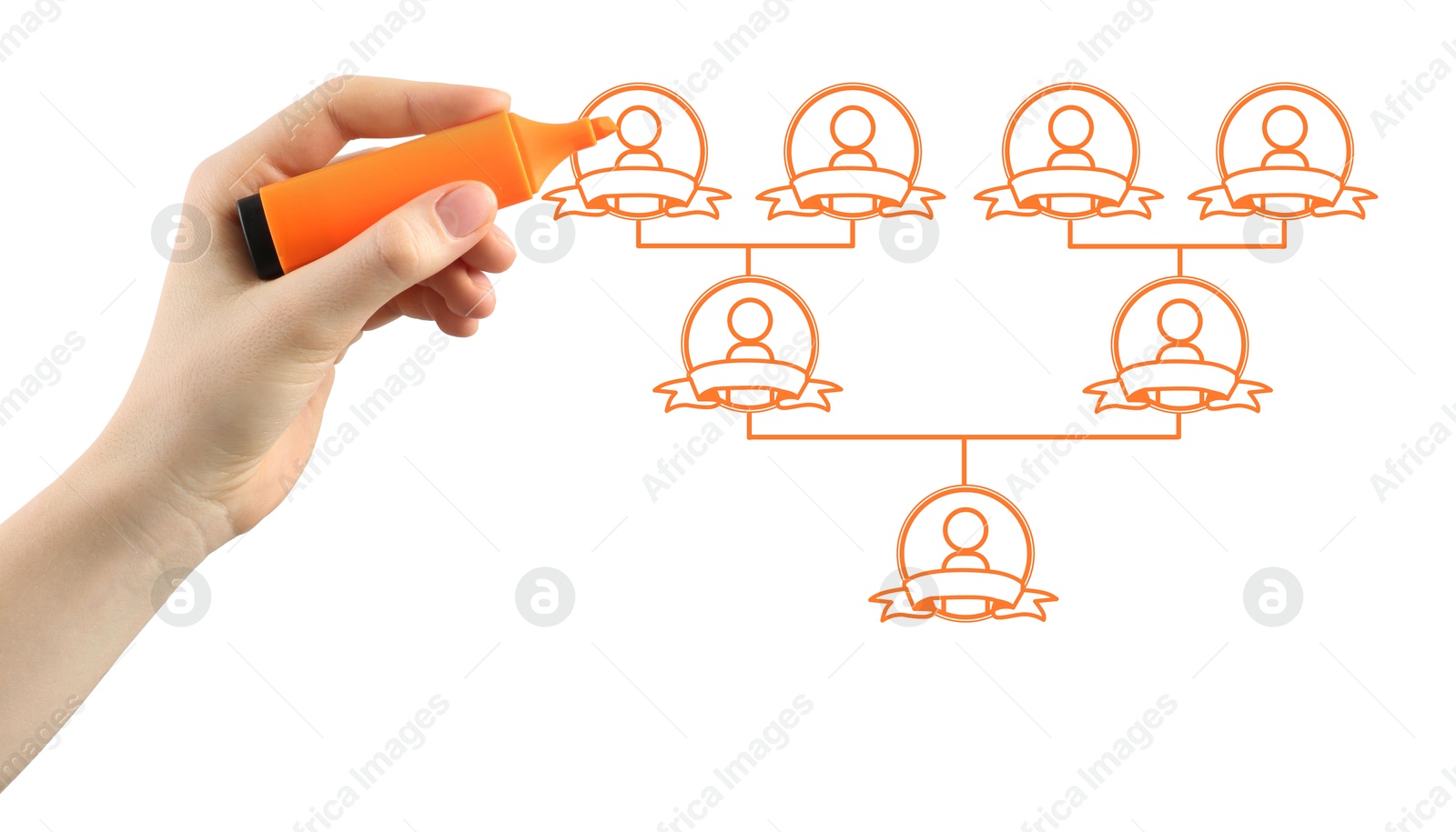 Image of Woman drawing family tree on white background. Scheme with human figures