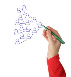 Image of Woman drawing family tree on white background. Scheme with human figures