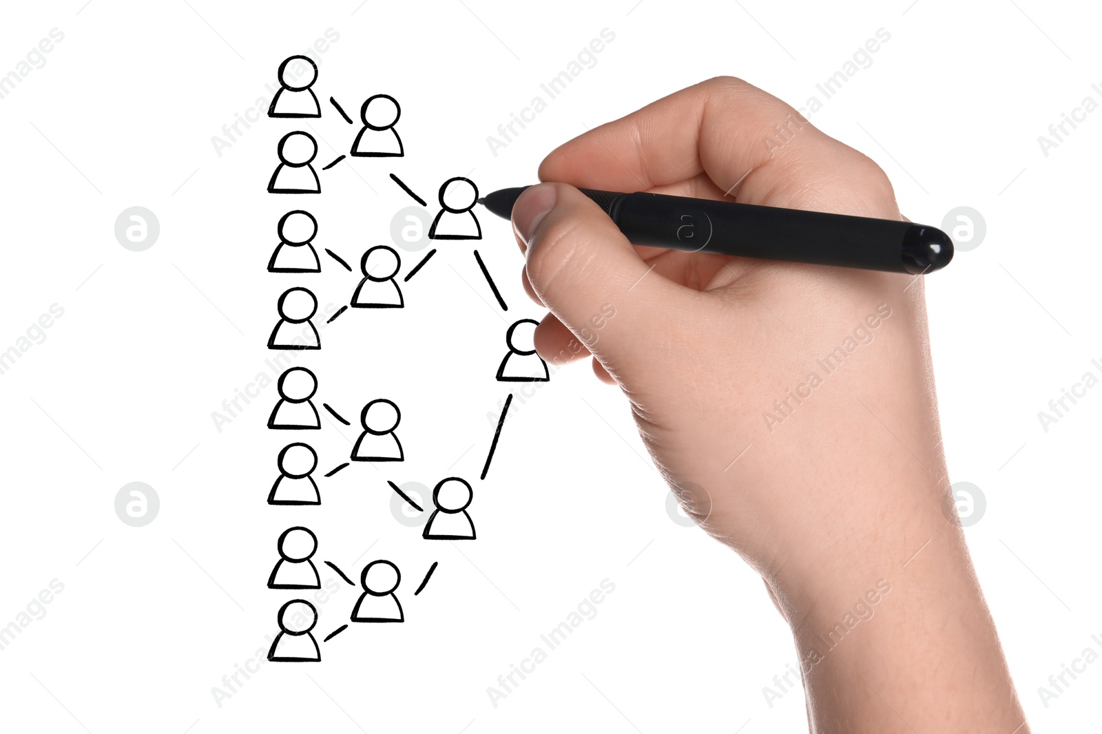 Image of Man drawing family tree on white background. Scheme with human figures