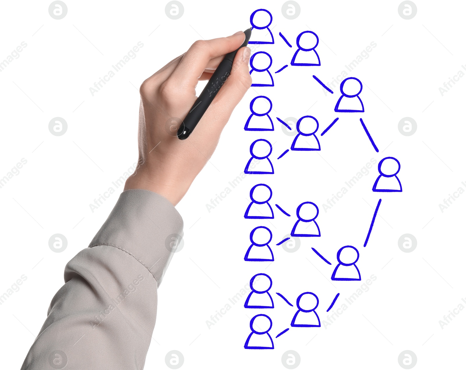 Image of Woman drawing family tree on white background. Scheme with human figures