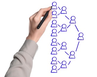 Image of Woman drawing family tree on white background. Scheme with human figures