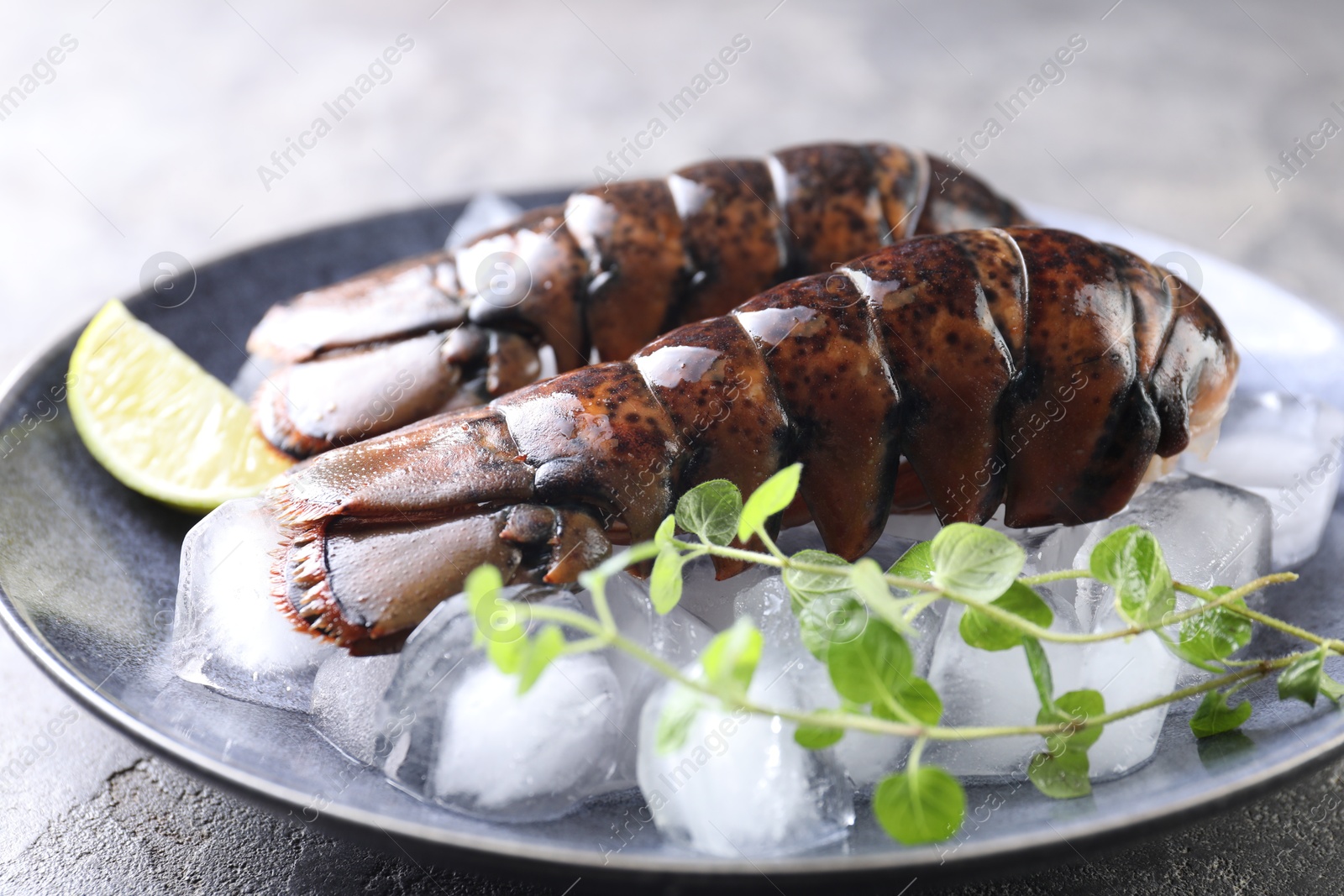 Photo of Raw lobster tails with microgreens, lime and ice on table, closeup