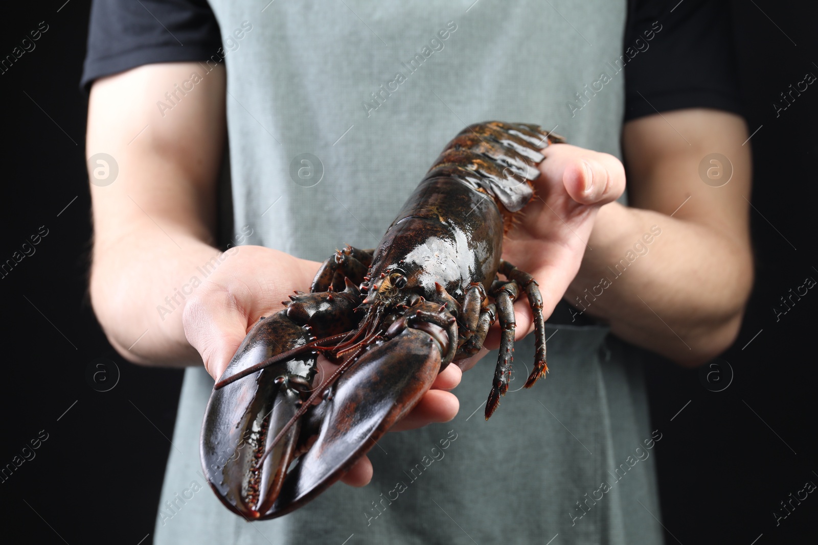 Photo of Man with raw lobster on black background, closeup