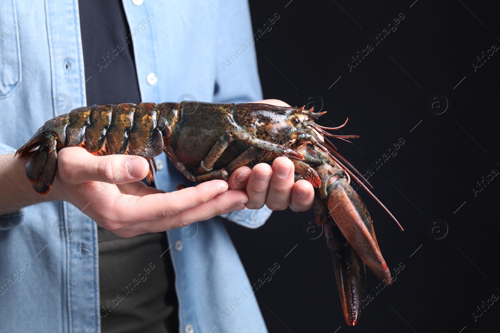 Photo of Man with raw lobster on black background, closeup. Space for text