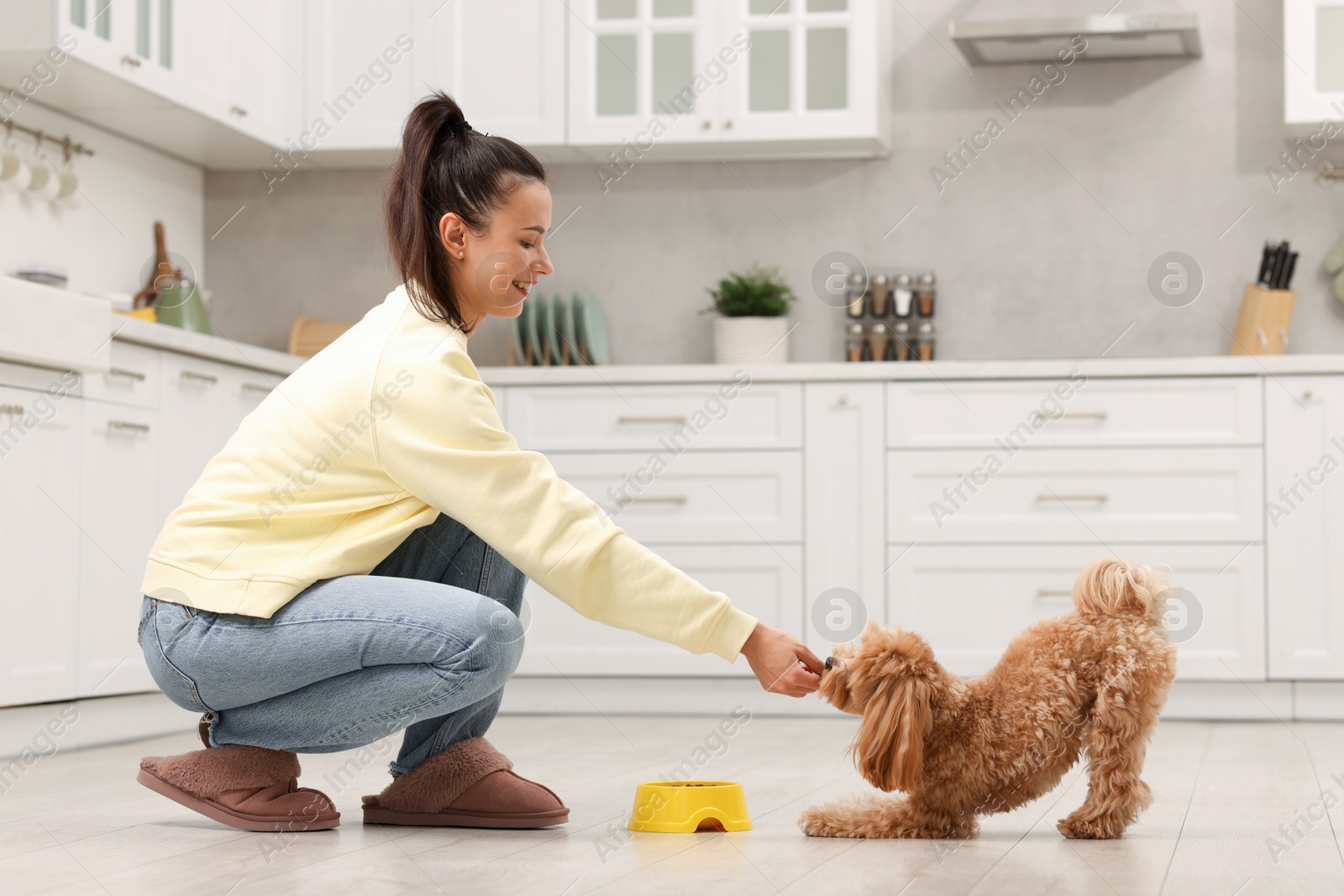 Photo of Smiling owner feeding her cute pet in kitchen