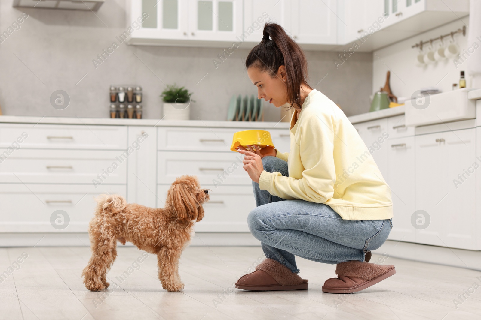 Photo of Owner holding bowl with pet food near her cute dog in kitchen