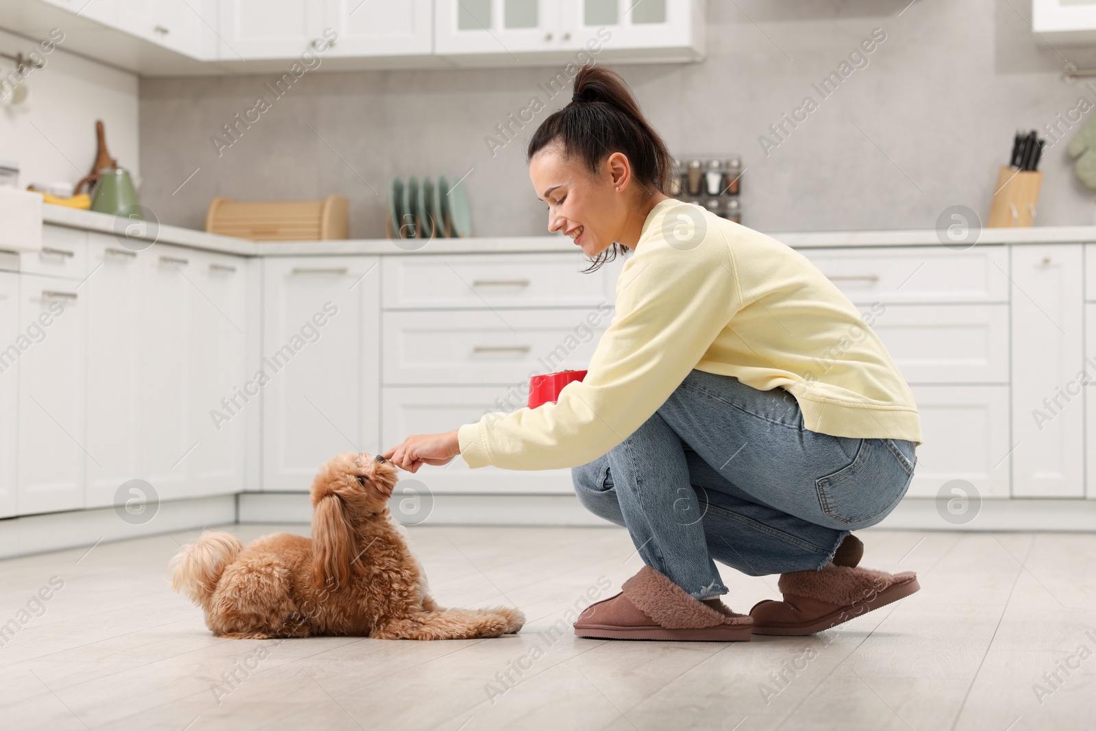 Photo of Smiling owner feeding her cute pet in kitchen