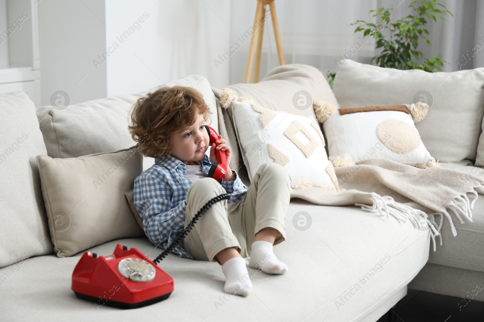 Photo of Cute little boy with telephone on sofa indoors