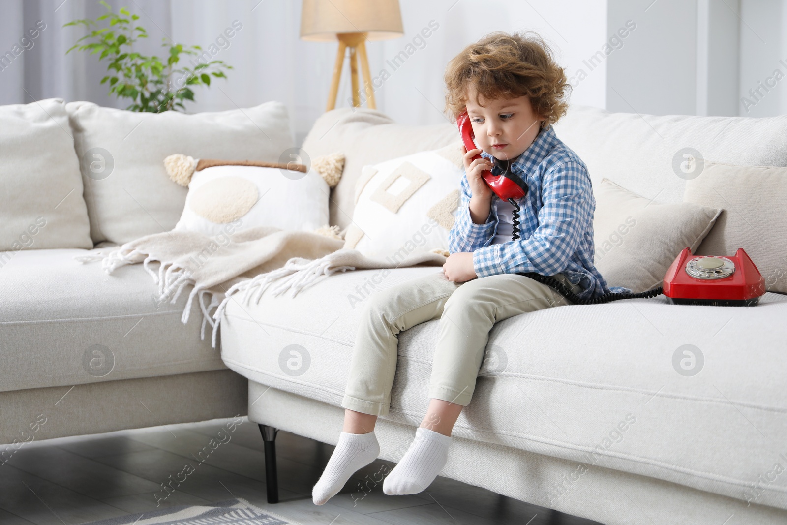 Photo of Cute little boy with telephone on sofa indoors