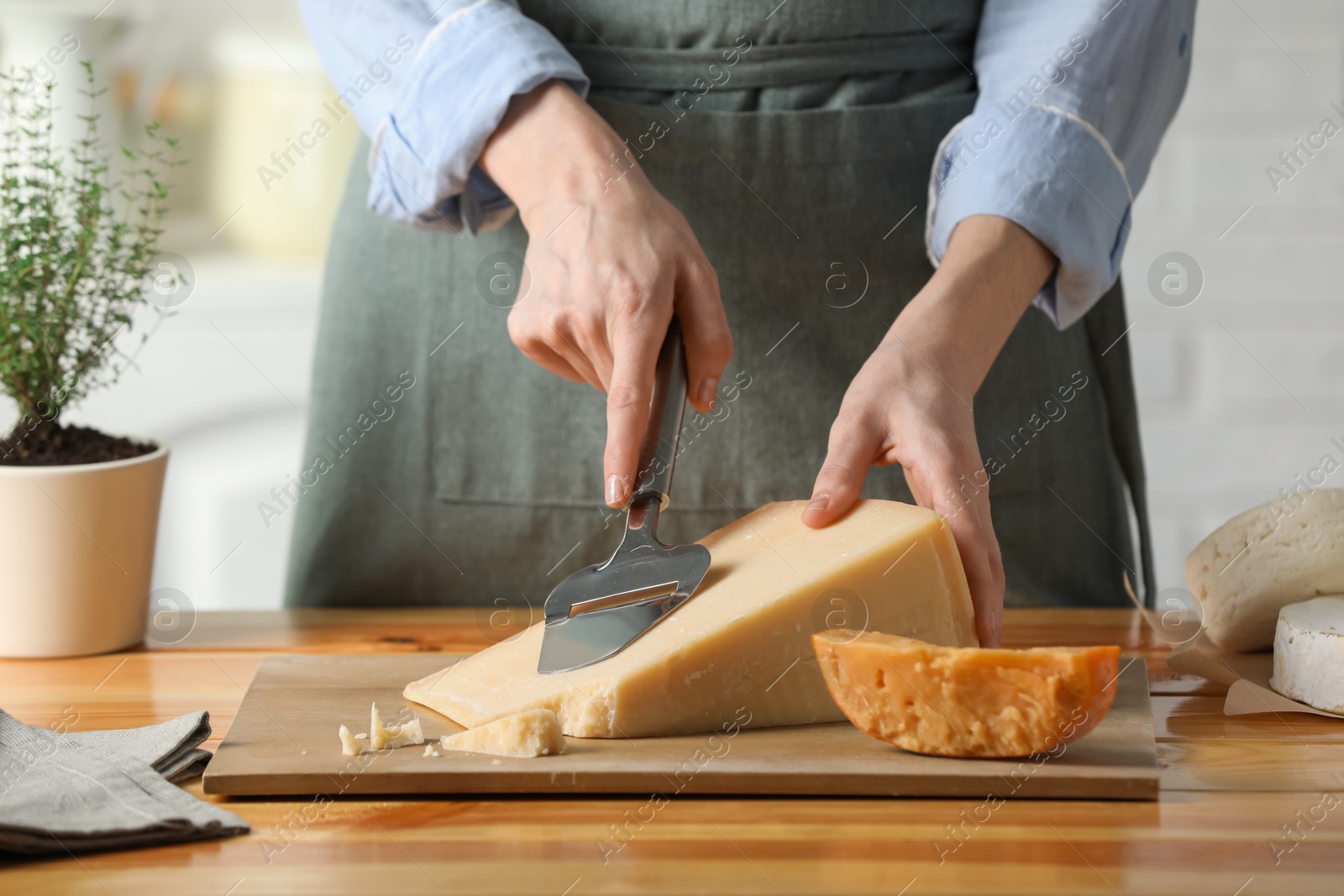 Photo of Woman cutting delicious cheese with slicer at wooden table indoors, closeup