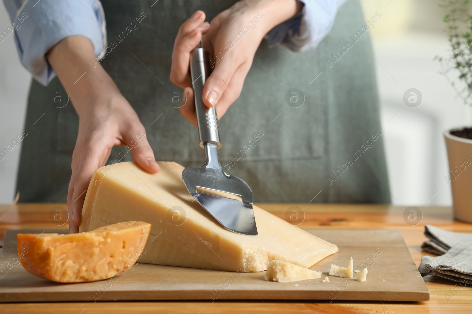 Photo of Woman cutting delicious cheese with slicer at wooden table indoors, closeup