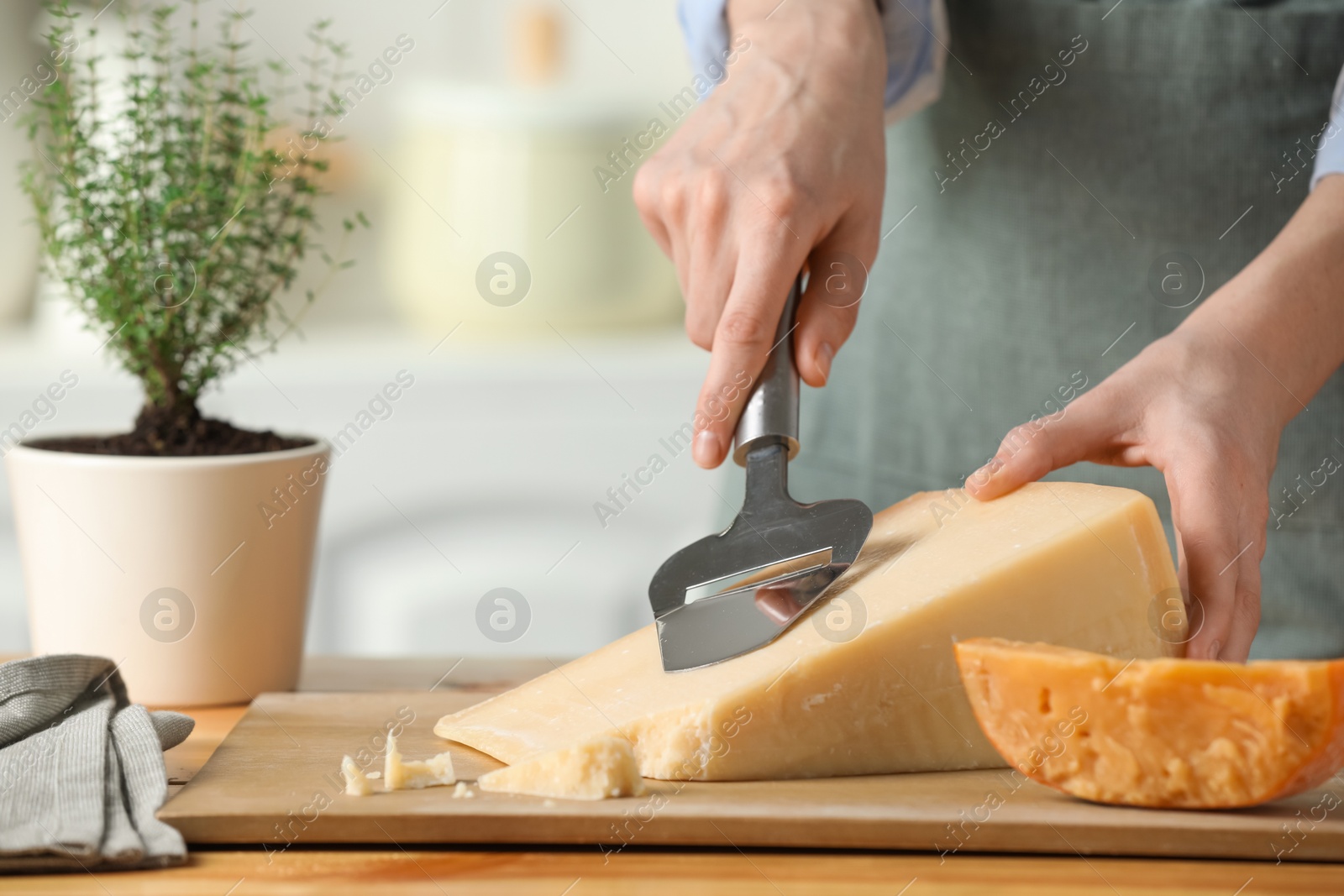 Photo of Woman cutting delicious cheese with slicer at wooden table indoors, closeup