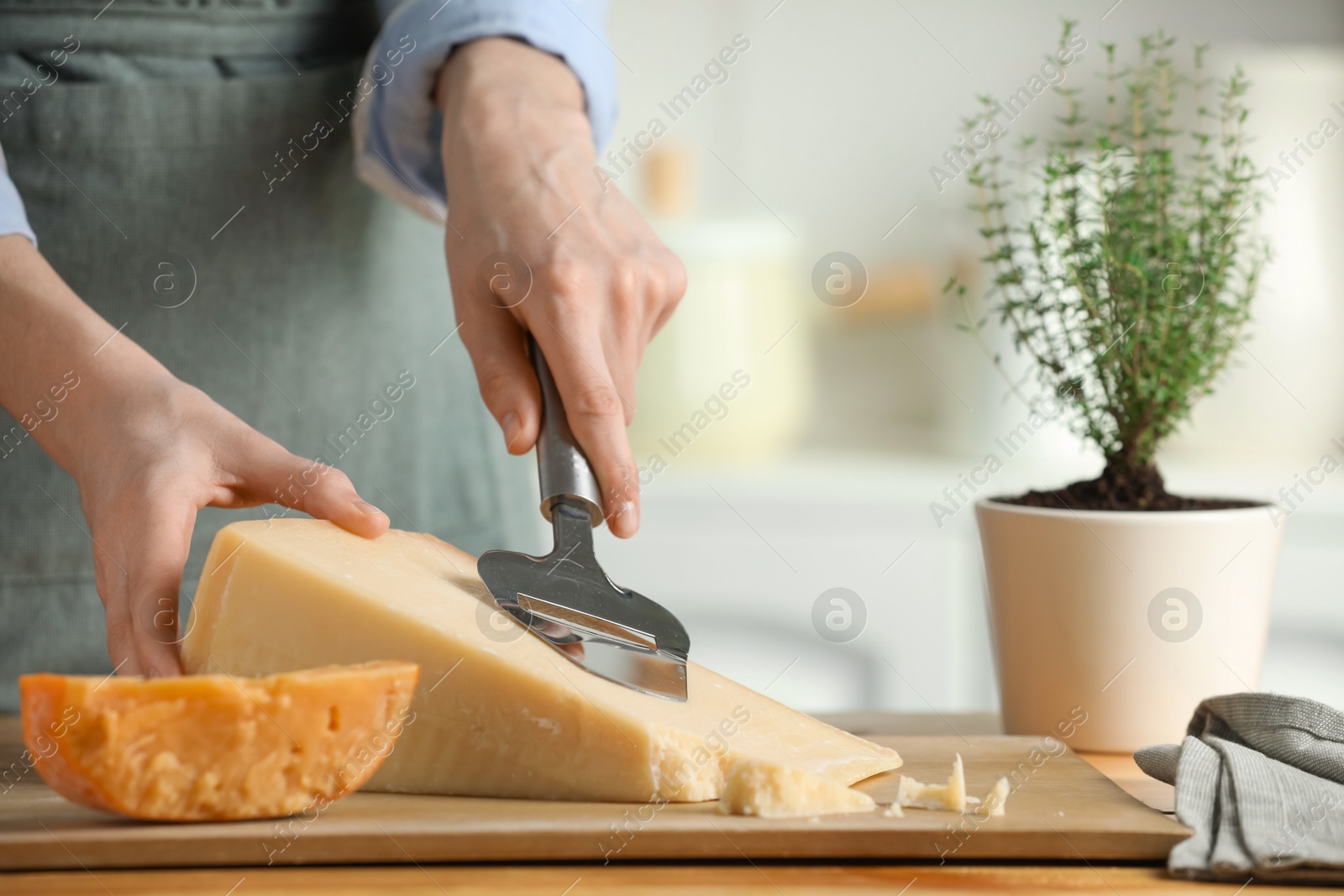 Photo of Woman cutting delicious cheese with slicer at wooden table indoors, closeup