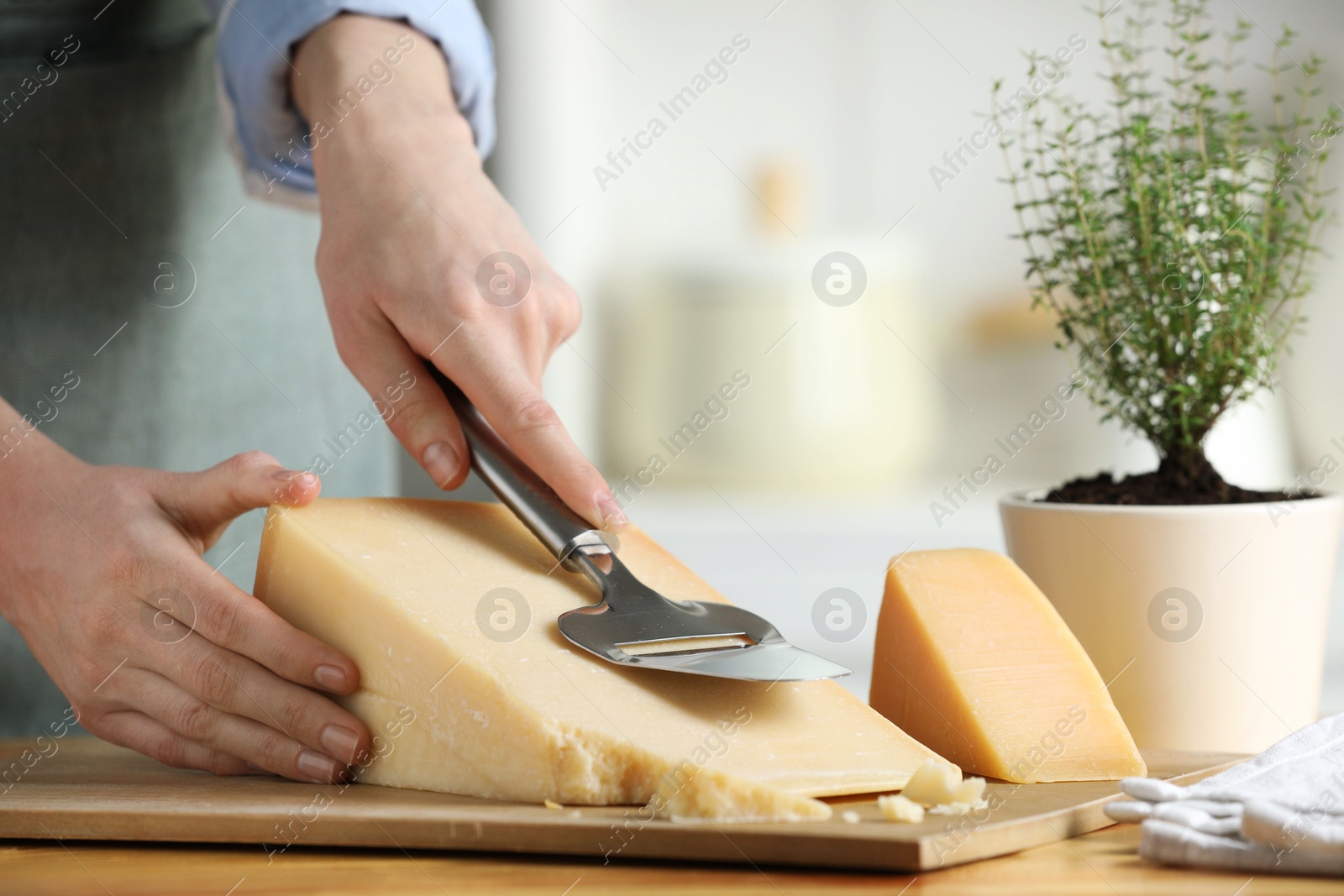 Photo of Woman cutting delicious cheese with slicer at wooden table indoors, closeup