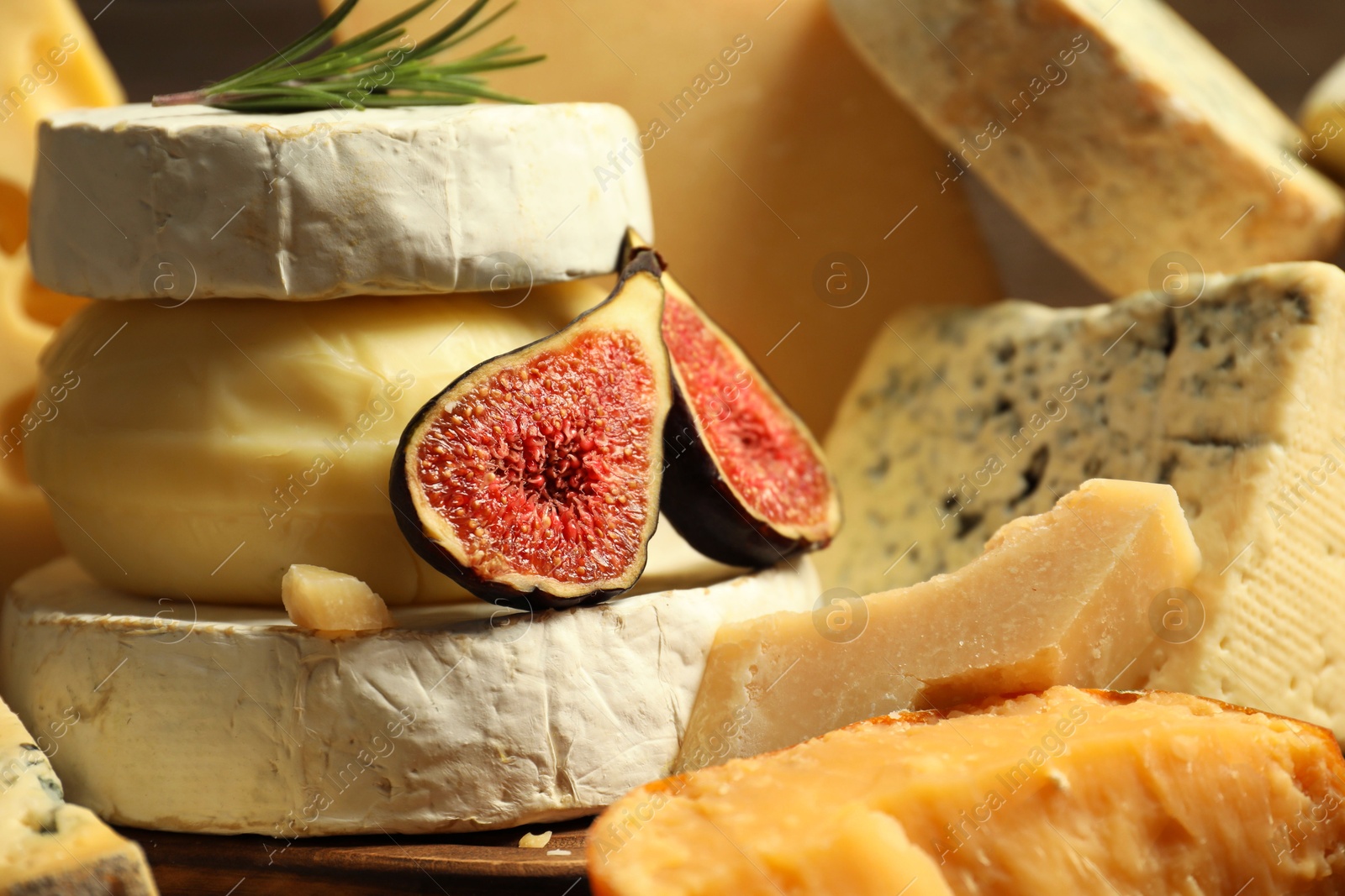 Photo of Different types of cheese, fig and rosemary on table, closeup