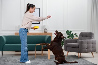 Photo of Woman with feeding bowl giving dry pet food to her dog indoors