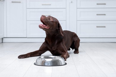 Photo of Cute dog waiting for pet food near empty bowl on floor indoors