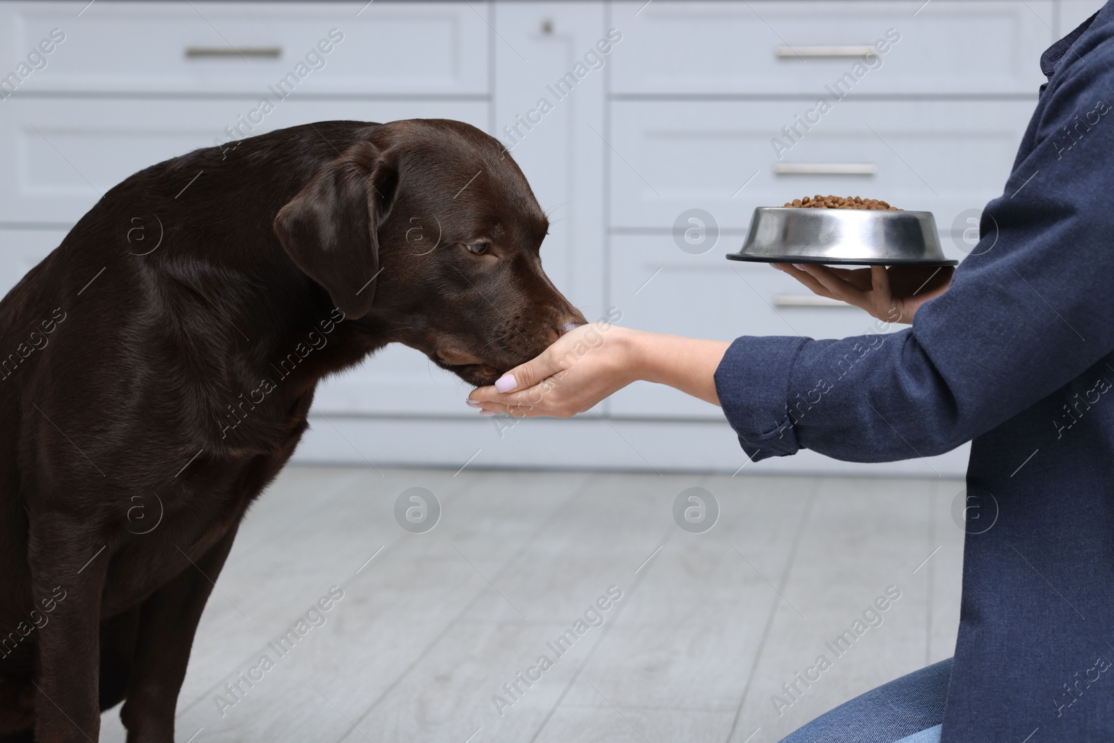 Photo of Woman with feeding bowl giving dry pet food to her dog indoors, closeup