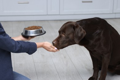 Photo of Woman with feeding bowl giving dry pet food to her dog indoors, closeup