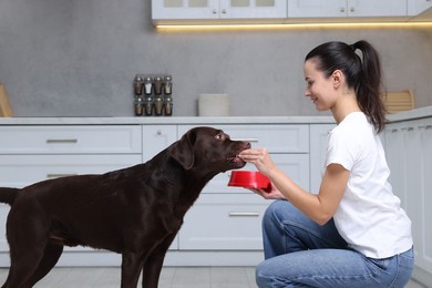 Photo of Woman with feeding bowl giving dry pet food to her dog indoors