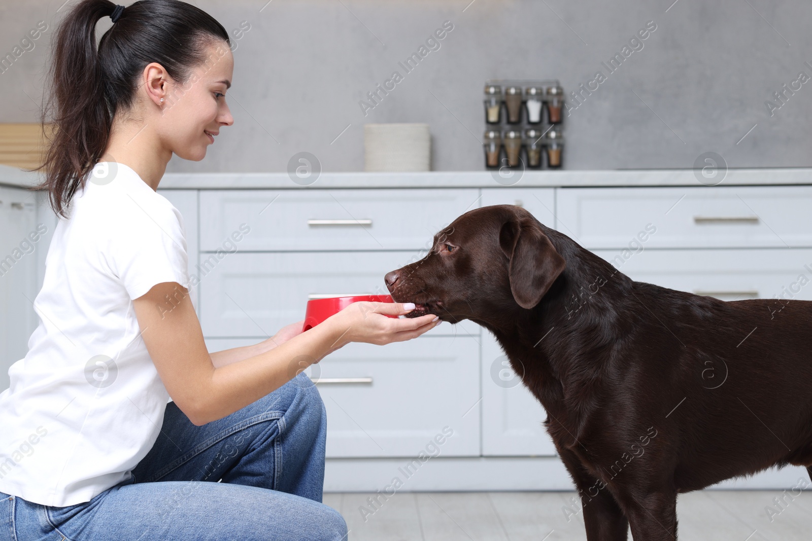 Photo of Woman with feeding bowl giving dry pet food to her dog indoors