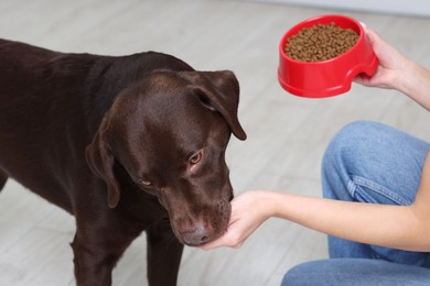 Photo of Woman with feeding bowl giving dry pet food to her dog indoors, closeup