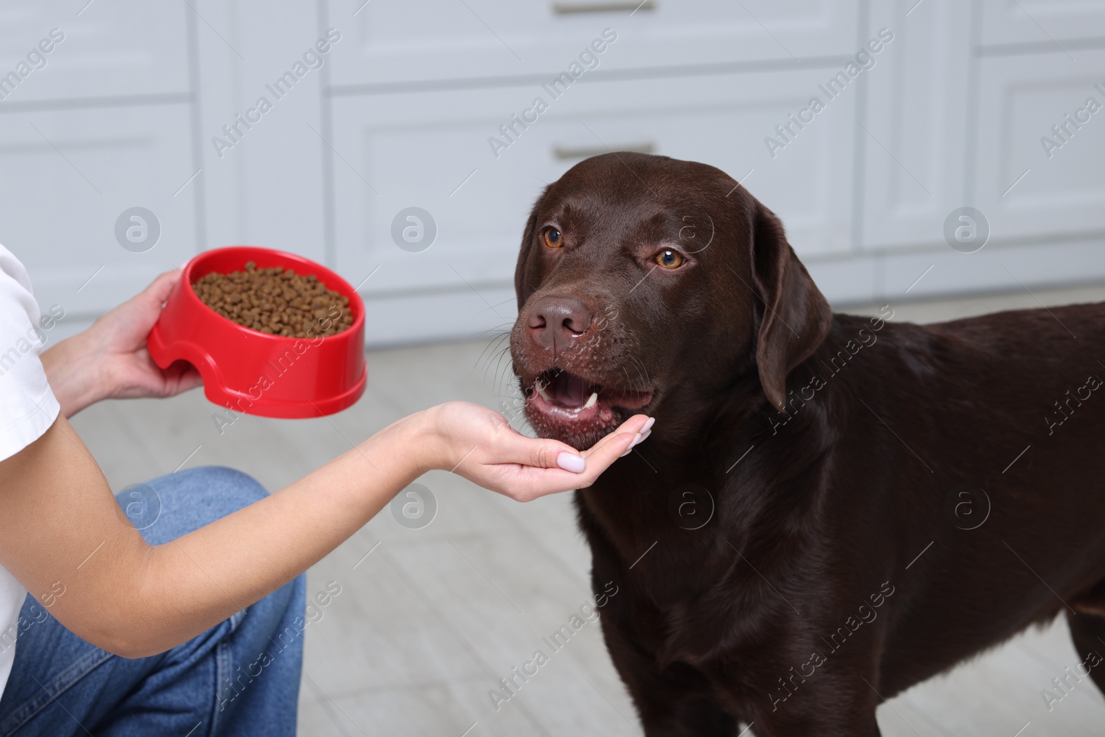 Photo of Woman with feeding bowl giving dry pet food to her dog indoors, closeup