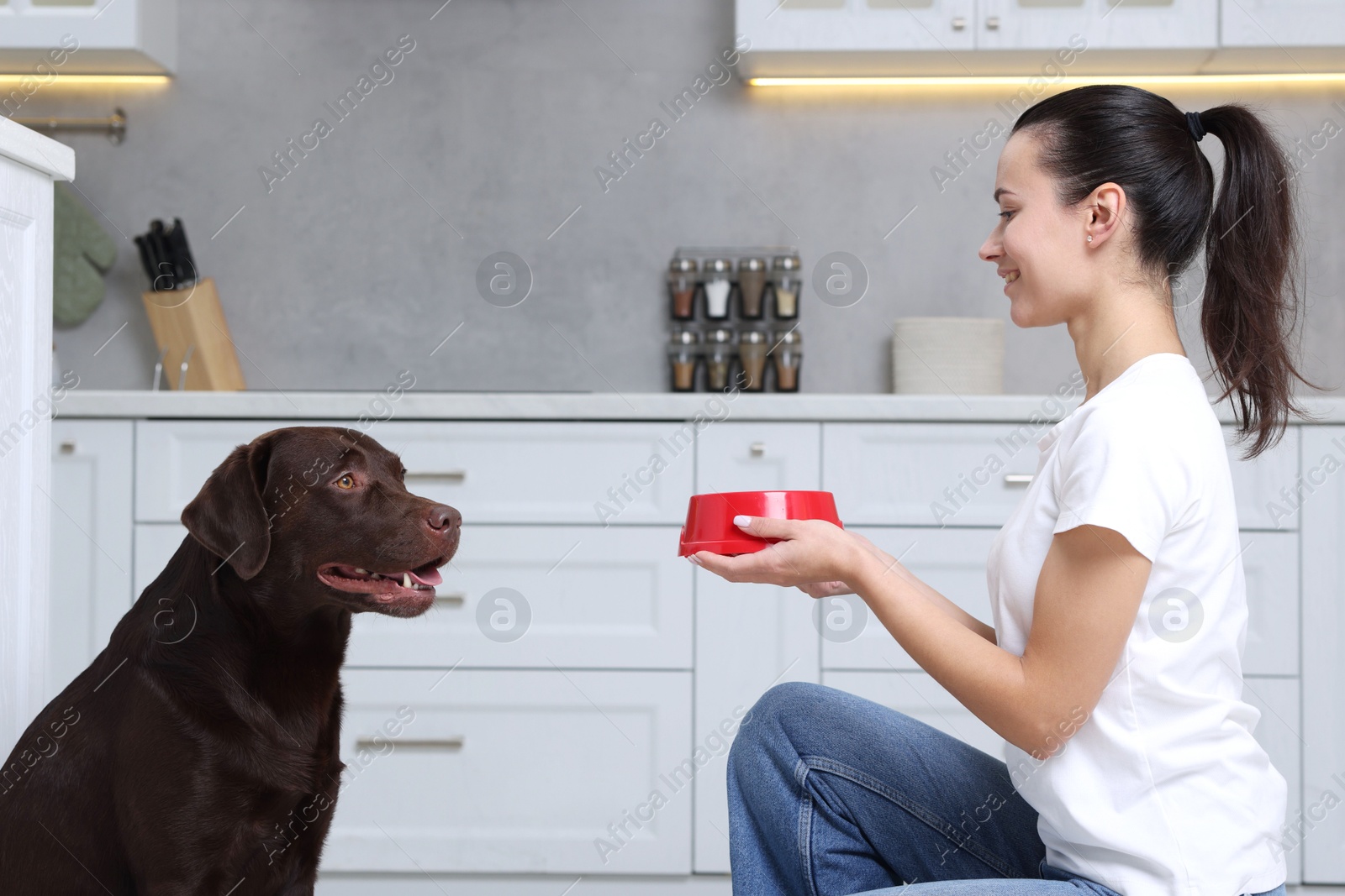 Photo of Woman giving feeding bowl with dry pet food to her dog indoors