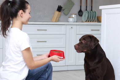 Photo of Woman giving feeding bowl with dry pet food to her dog indoors