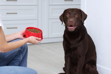 Photo of Woman giving feeding bowl with dry pet food to her dog indoors, closeup