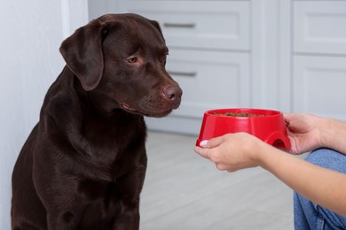 Photo of Woman giving feeding bowl with dry pet food to her dog indoors, closeup