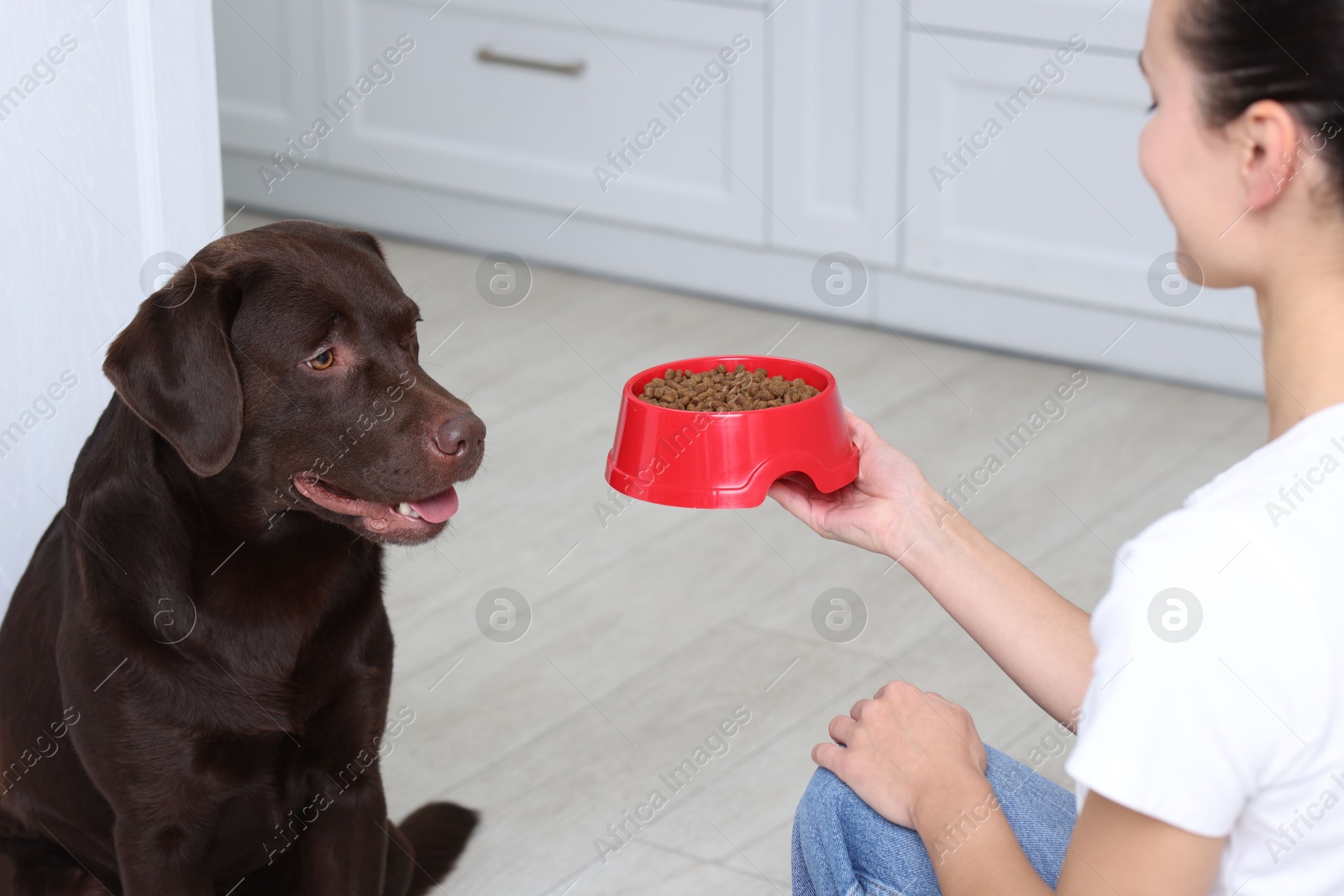 Photo of Woman giving feeding bowl with dry pet food to her dog indoors, closeup