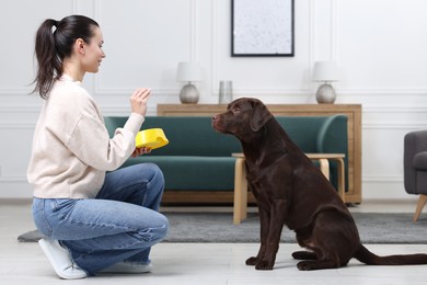 Photo of Woman with feeding bowl giving dry pet food to her dog indoors