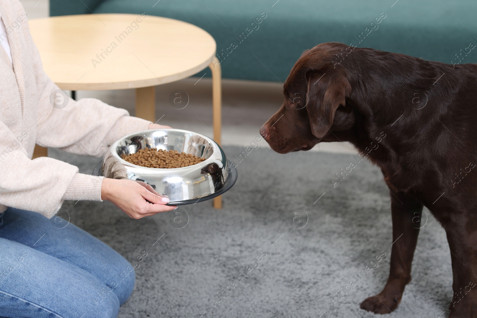 Photo of Woman giving bowl with dry pet food to her dog indoors, closeup