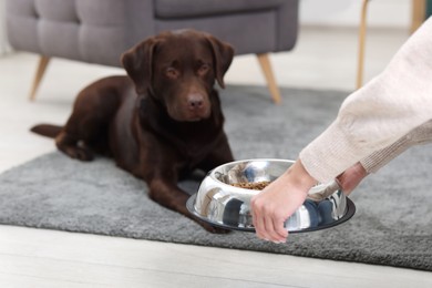 Photo of Woman giving bowl with dry pet food to her dog indoors, closeup