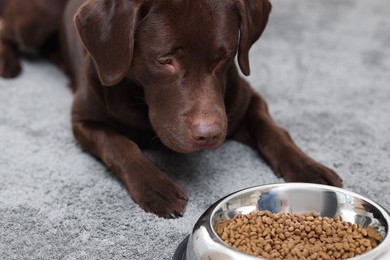 Photo of Woman giving bowl with dry pet food to her dog indoors, closeup