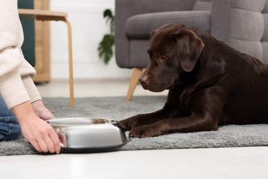 Photo of Cute dog waiting for pet food near woman with empty bowl indoors