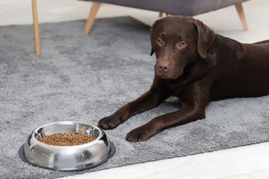 Photo of Cute dog lying near bowl of dry pet food on floor indoors