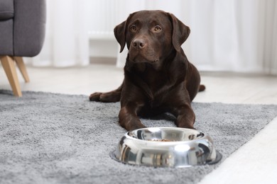 Photo of Cute dog lying near bowl of dry pet food on floor indoors, space for text