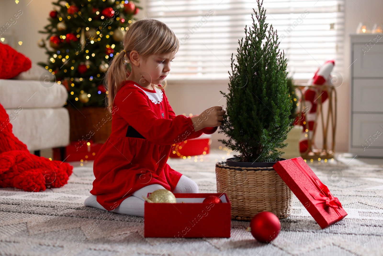 Photo of Little girl in Christmas costume with gift box decorating small tree at home