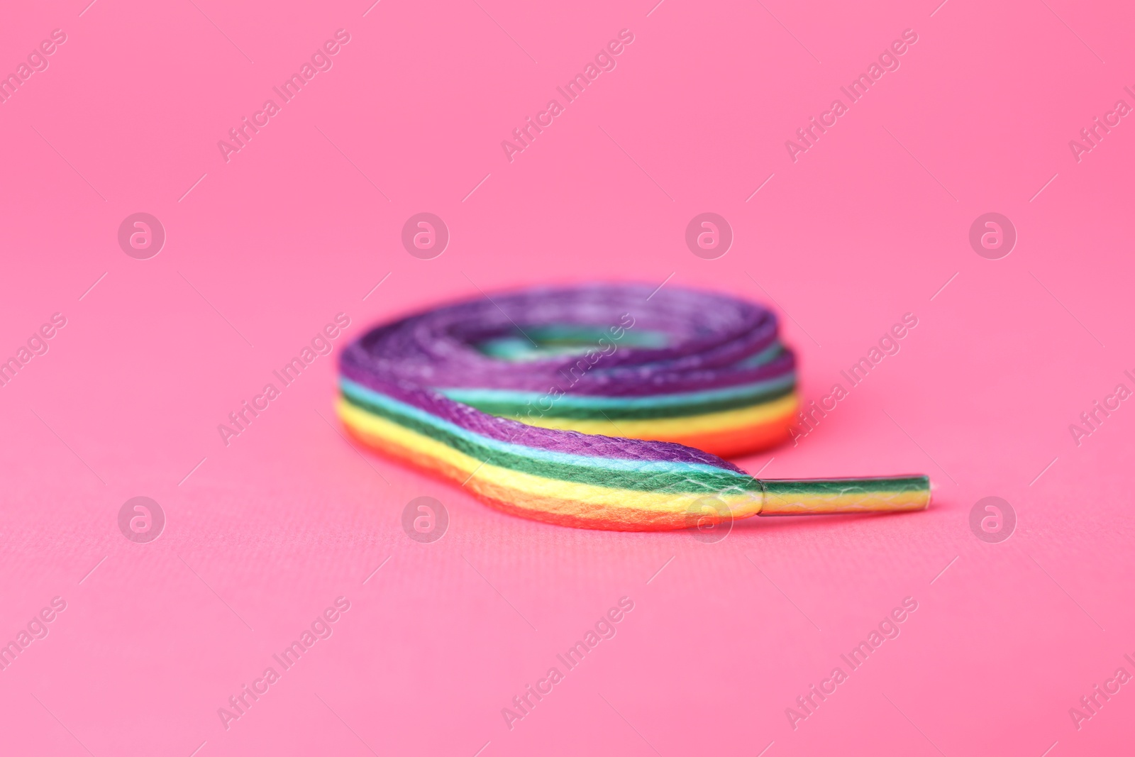 Photo of Shoelace in LGBT colors on pink background, closeup