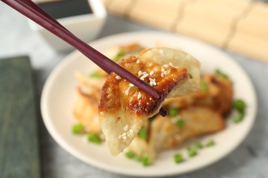 Photo of Taking tasty fried gyoza (dumpling) with chopsticks at light grey table, closeup