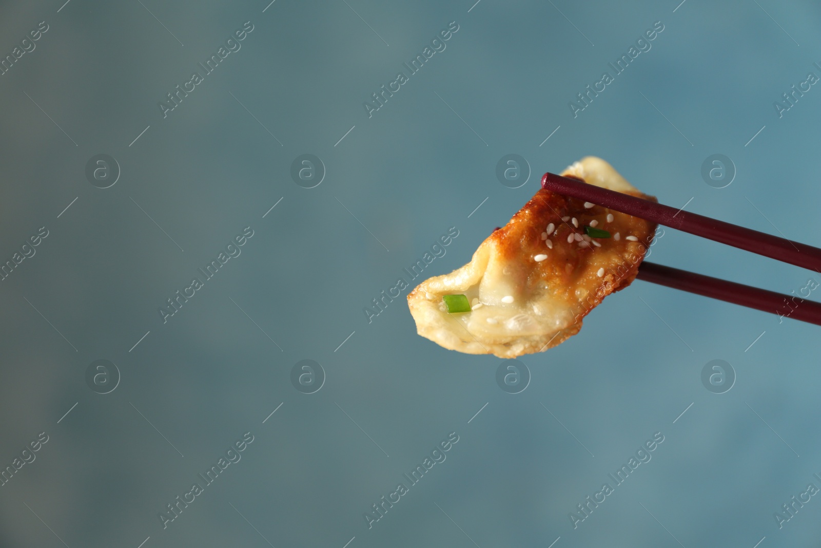 Photo of Holding tasty fried gyoza (dumpling) with chopsticks on light blue background, closeup. Space for text