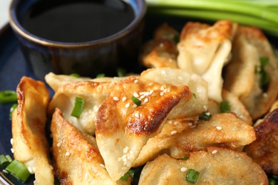 Photo of Tasty fried gyoza (dumplings) and soy sauce on plate, closeup